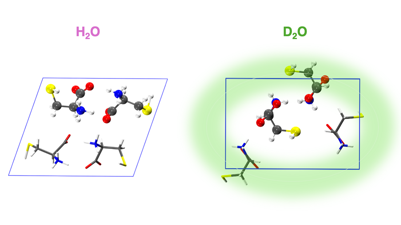 Fluorescence in Amino Acid Crystals