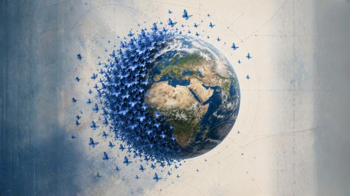 Butterfly globe