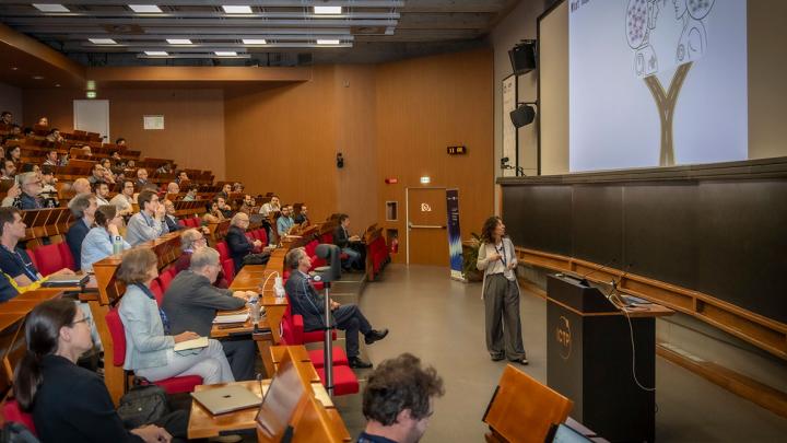 ICTP conference