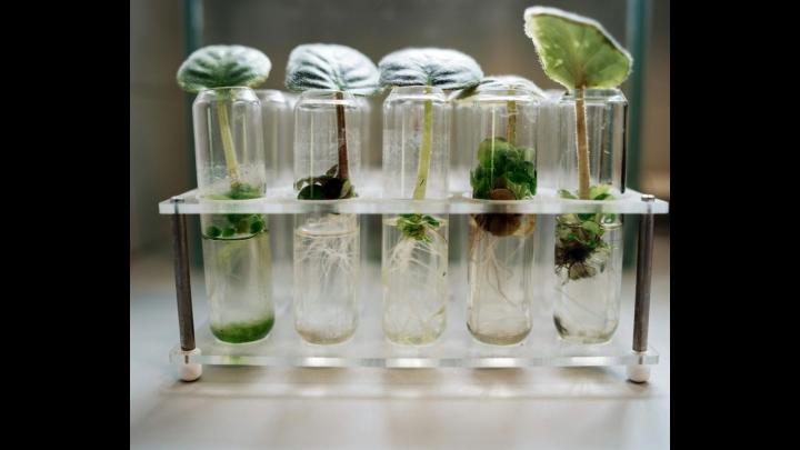 Embedded thumbnail for One Planet - One Health? New Challenges for Medical Thinking in Times of Climate Change